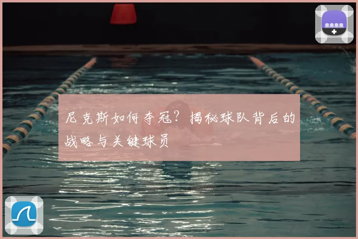 尼克斯如何夺冠？揭秘球队背后的战略与关键球员